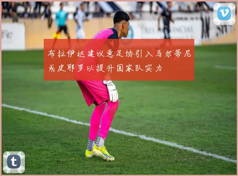 布拉伊达建议意足协引入马尔蒂尼或皮耶罗以提升国家队实力